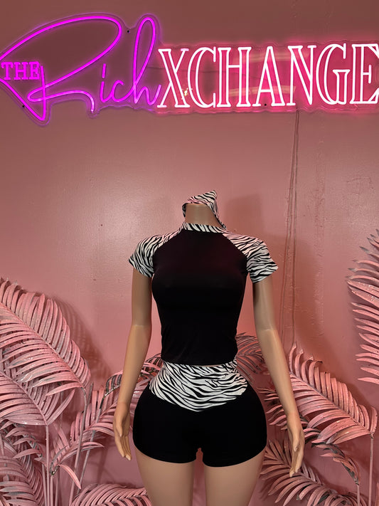 Zebra Pop - Set
