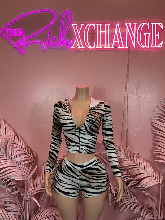 Zebra Chic - Set